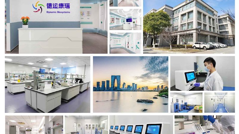 PCR体系配制试剂规格：揭秘高效实验背后的关键