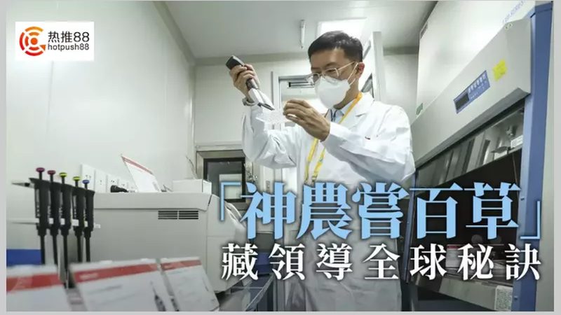 PCR检测定制生产：揭秘定制化服务背后的技术奥秘