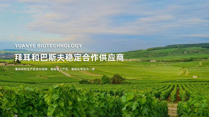 基因检测哪家医院靠谱