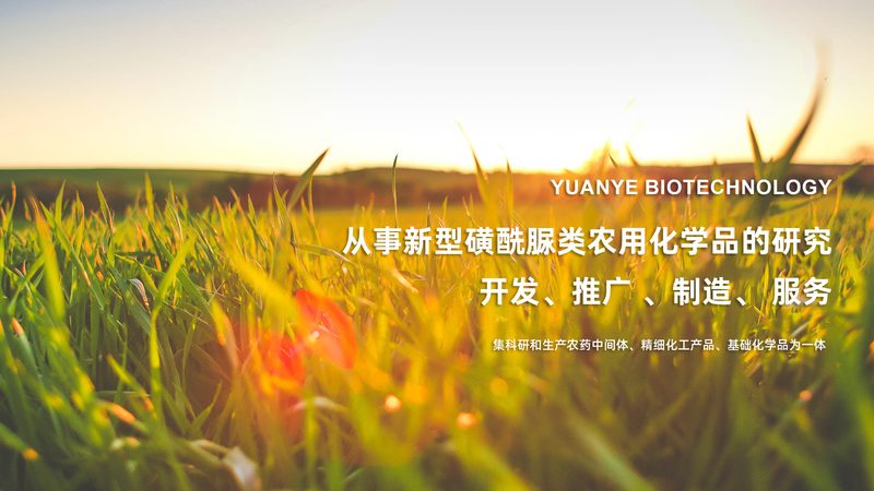 抗体药物研发外包技术平台：揭秘其核心价值与应用