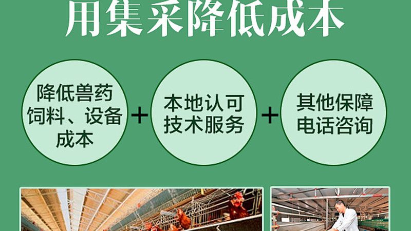 CDMO工艺流程报价：揭秘制药外包的透明之路