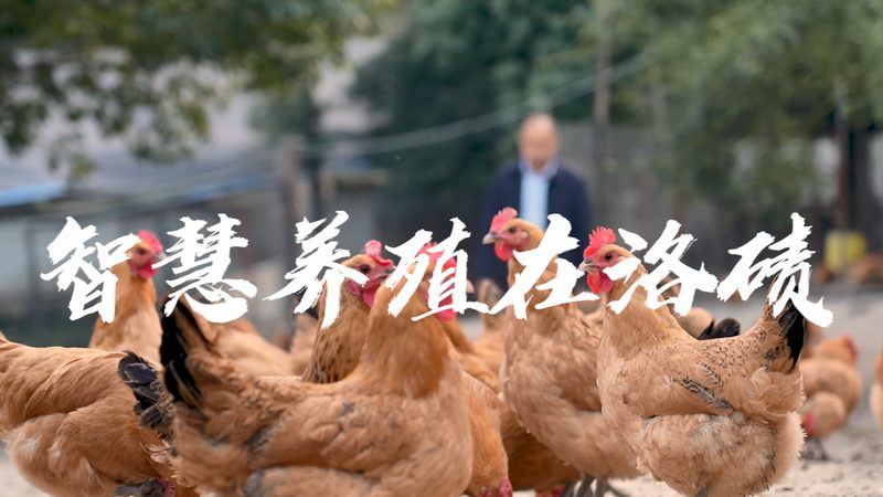 CDMO技术平台：揭秘其核心价值与选择要点