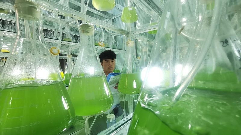 CRS优化参数设置的奥秘：如何提升实验效率与数据质量